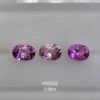 Blu Ceylon Pink Sapphire